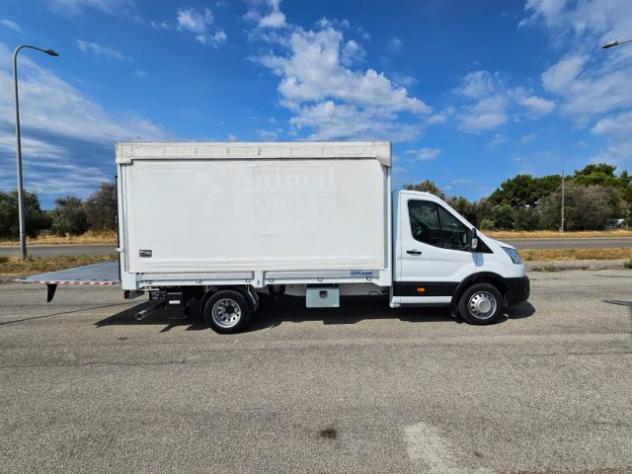 FORD Transit 350 2.0 EcoBlue 130CV PL Centina e Sponda Trend rif. 24203213 - Foto 5