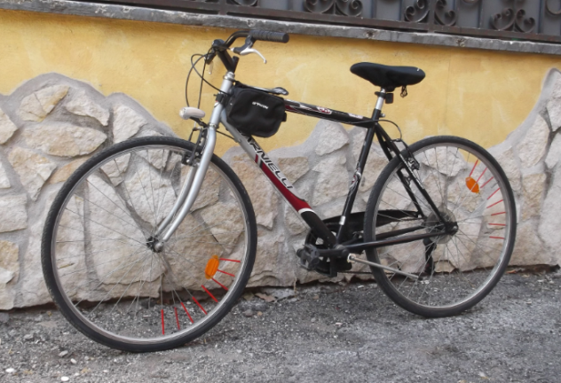 Bicicletta 28 CARNIELLI - City Bike - Foto 6