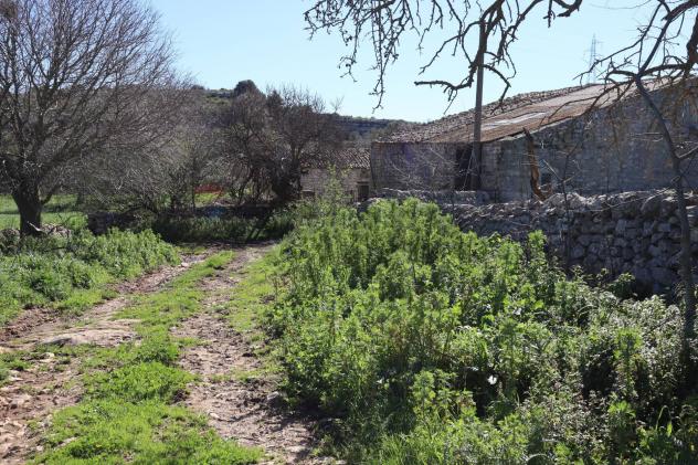 Cascina/Casale in vendita a Ragusa, Bruscé - Foto 10