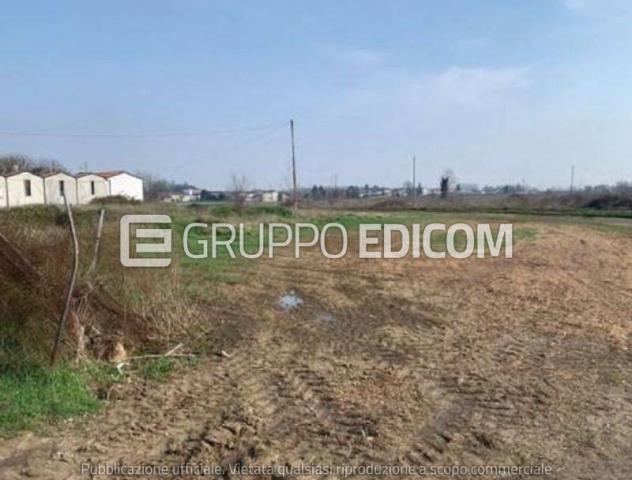 Terreno di 4646 mq in vendita a Sorgà - Rif. 4550929 - Foto 2