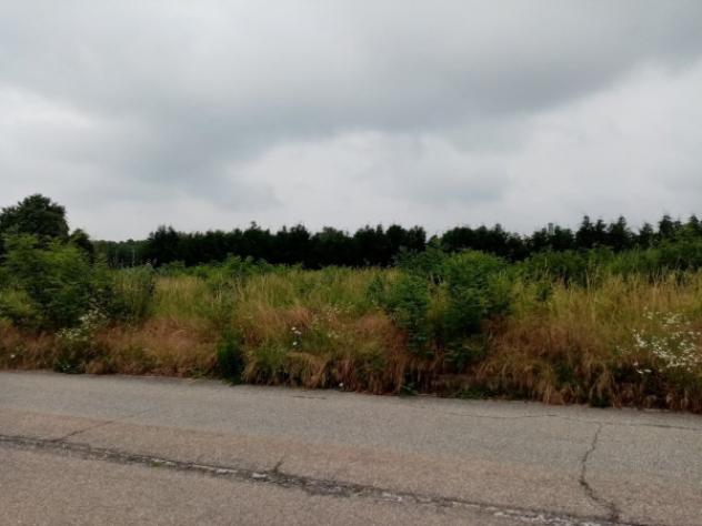 Terreno di 900 m² in vendita a Sumirago - Foto 4