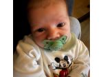 Edoardo cerca una babysitter - lavoro da babysitter a Genova