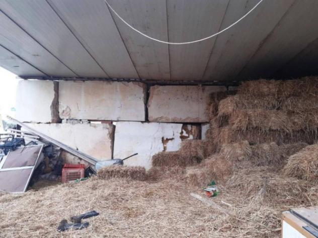 Immobile in asta di 14312 m² in vendita a Orosei - Foto 16