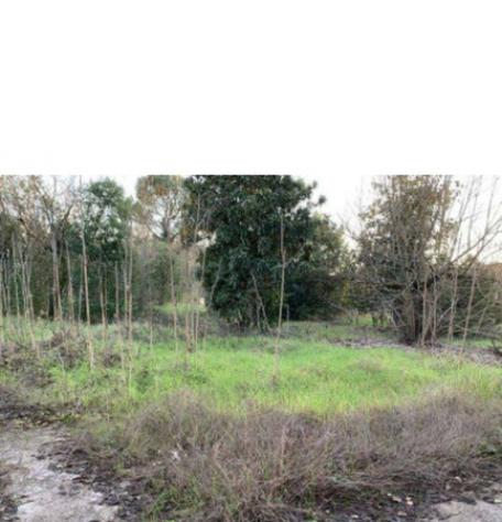 Immobile in asta di 341 m² in vendita a Arce - Foto 10