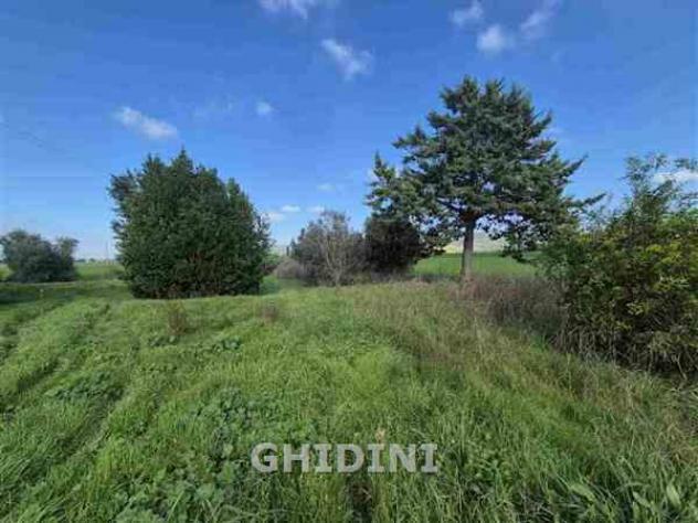 COLONICA di 9 vani e di 250 mq (ORBETELLO - FONTEBLANDA) rif. 2473.500M - Foto 19