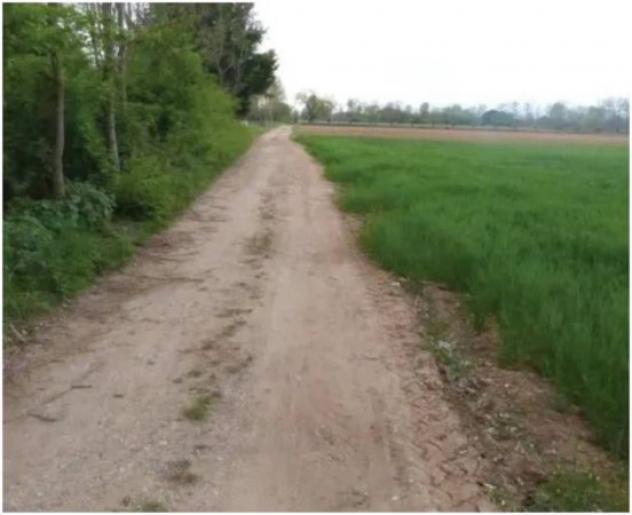 Immobile in asta di 29838 m² in vendita a Paese - Foto 12
