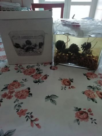 candela con dentro delle pigne
