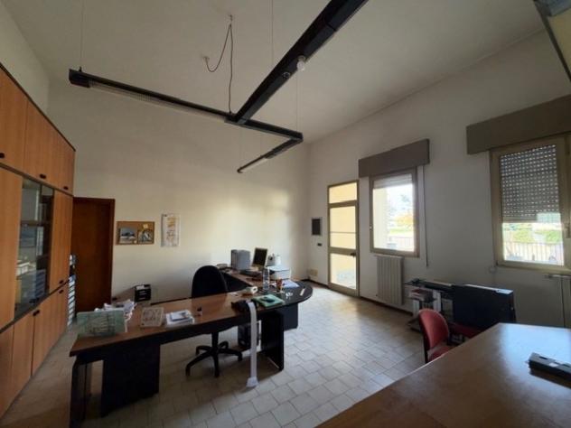 Budrio (BO) - Affittasi capannone produttivo - Foto 16