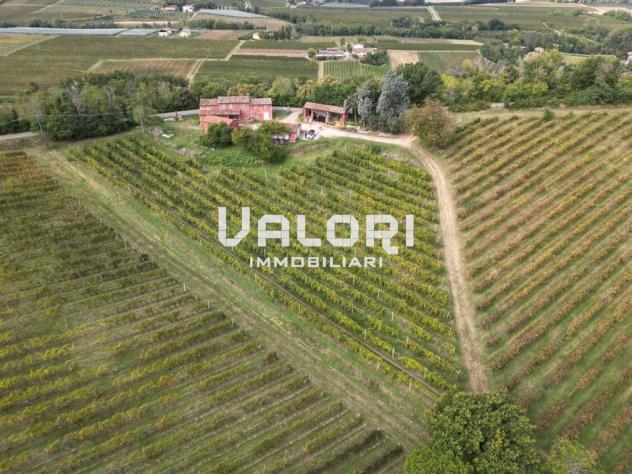 PODERE AGRICOLO DI CIRCA HA 31 OLTRE A CORTE CON CASA COLONICA E SERVIZI - Foto 4