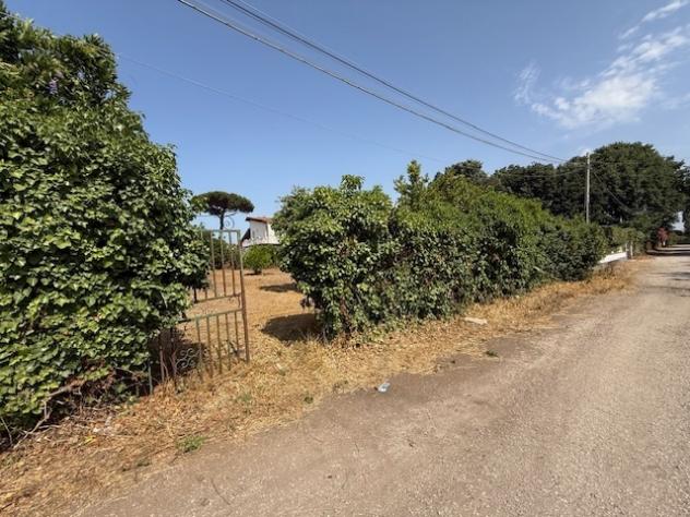 Terreno edificabile in vendita a Nettuno - Foto 16