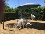 Appartamento in affitto a Rosignano Marittimo 42 mq  Rif: 821783
