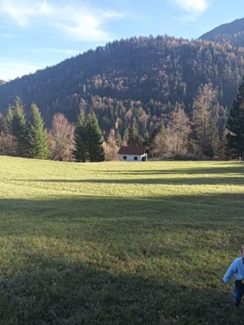 Terreno per villaggio chalet o glamping - Foto 4