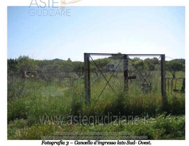 IMMOBILI-ALTRA CATEGORIA-Località Su Parargiu - Foto 4