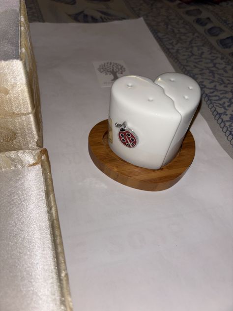 SET SALE E PEPE NUOVI INTROVABILI VINTAGE IN PORCELLANA E ARGENTO E BAMBOO