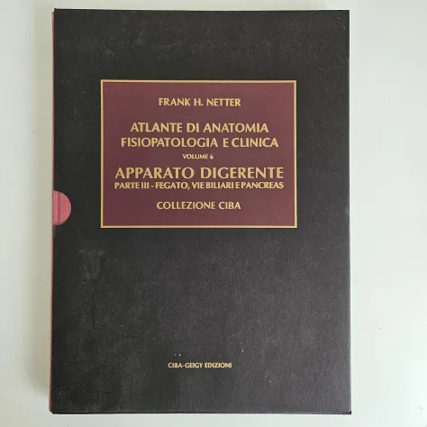 Netter, 7 Volumi - Collezione Ciba Geigy - Frank Netter - 1985 - TRACCIATA! - Foto 4
