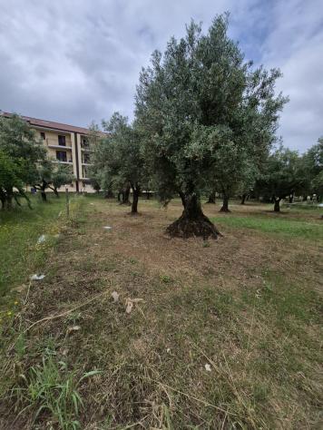 Terreno edificabile in vendita a Lamezia Terme - Foto 2