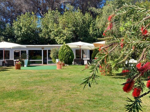 SALA FESTE EUR MEZZOCAMMINO con parco - Foto 5