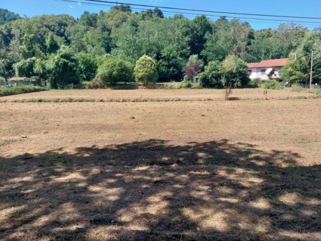 Camaiore-terreno agricolo pianeggiante