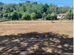 Camaiore-terreno agricolo pianeggiante