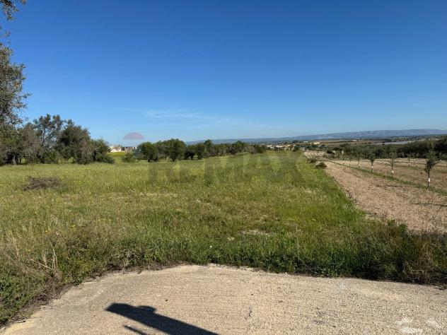 Terreno in vendita a Pachino - Foto 3
