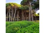 Camping Village Paestum