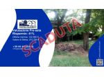Immobile in asta di 429 m² con più di 5 locali in vendita a Albinea