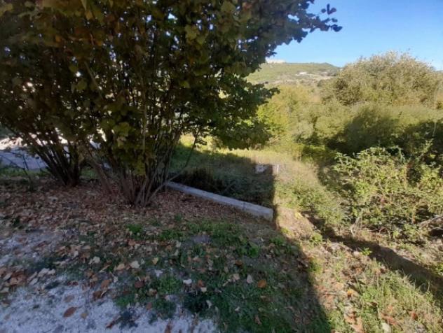 Immobile in asta di 8034 m² in vendita a Mirabello Sannitico - Foto 3