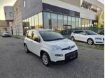 FIAT Panda 1.0 FireFly S&S Hybrid rif. 24105480