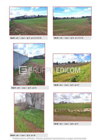 Fabbricati per attività agricole in vendita a Galatina - Rif. 4553054 - Foto 7