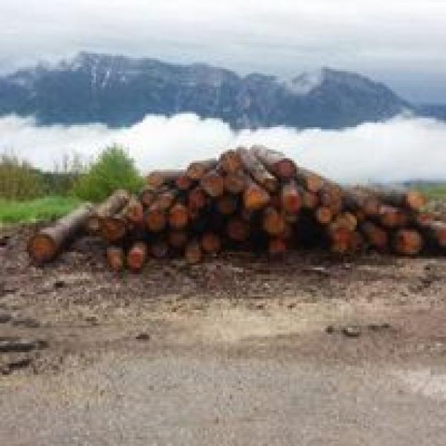 Bezzi Legnami - Foto 3