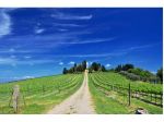 Terreno agricolo in vendita a Peccioli 2800 mq  Rif: 1037062