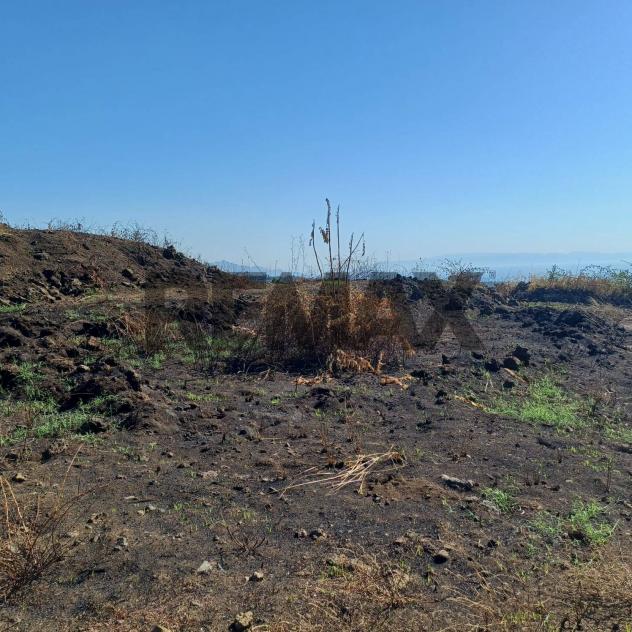 Terreno in vendita a Zafferana Etnea, Pisano - Foto 4