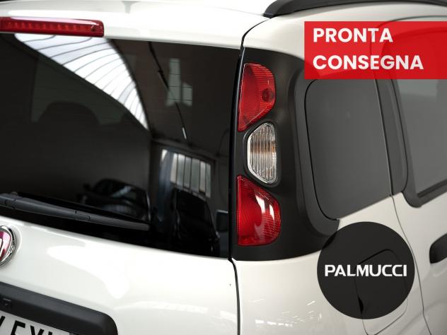 FIAT Panda Cross Panda 1.0 firefly hybrid Cross s&s 70cv 5p.ti - Foto 8