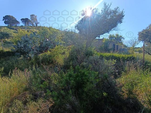 RUSTICO di 1 vani e di 30 mq (MESSINA) rif. 3VS17811 - Foto 8