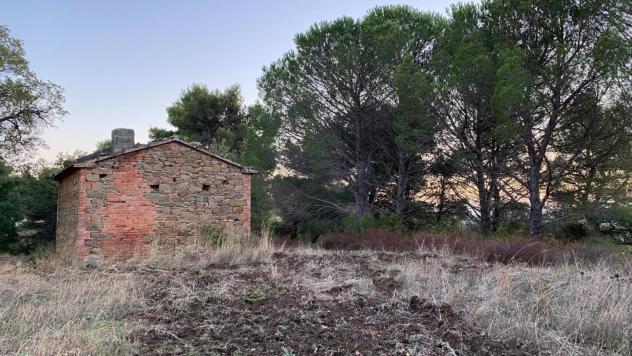 Terreno agricolo in vendita a Montorgiali - Scansano 103300 mq Rif: 1392018 - Foto 5
