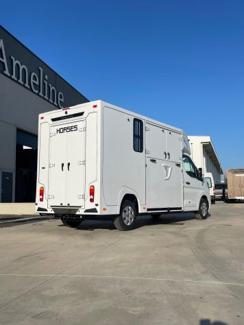 Renault Master Master 2.0 TD 170 CV HARAS ALLESTIMENTO STALLONI 3 POSTI CABINA - Foto 2