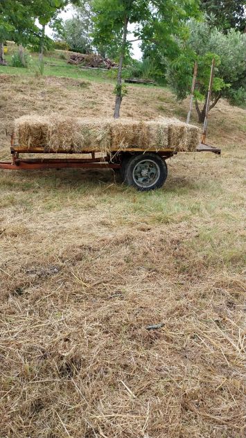 Vendesi attrezzatura agricola per fieno e paglia. - Foto 8