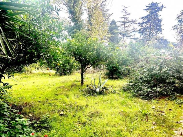 Appartamento in vendita a Fondi - Foto 5