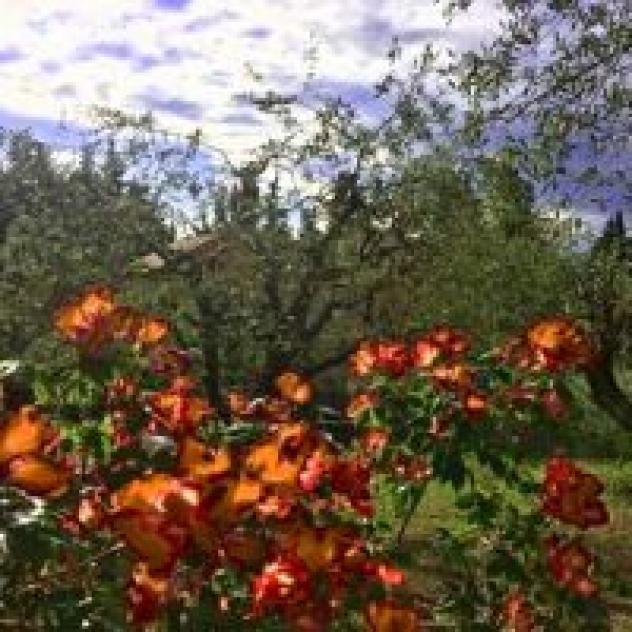 B&amp;B Villino Ada