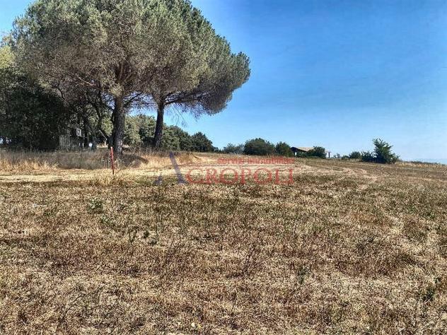Terreno Agricolo - Rif. 2415 - Foto 9