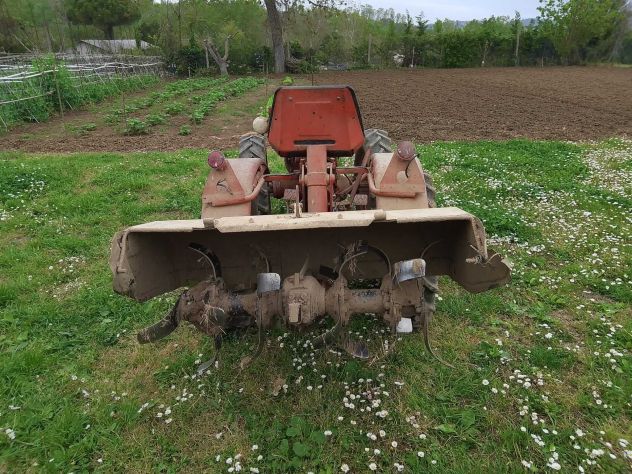 Trattore PASQUALI 945 con accensione elettrica - Foto 5