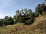 Agricolo in Marrota