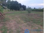 Terreno agricolo in vendita a Larciano 3155 mq  Rif: 1292278