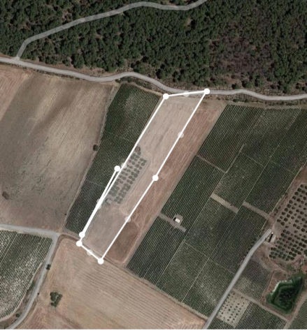Sicilia Vendita terreno a Menfi - Foto 4