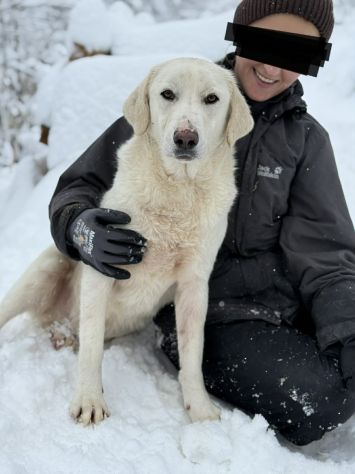ARTIC, bianco come la neve! Buonissimo