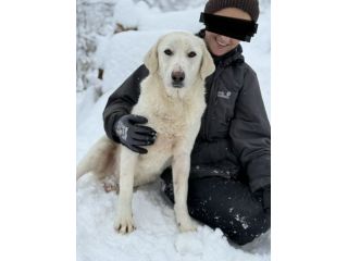 ARTIC, bianco come la neve! Buonissimo