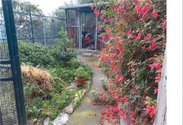 Immobile in asta di 203 m² in vendita a Giustenice - Foto 3