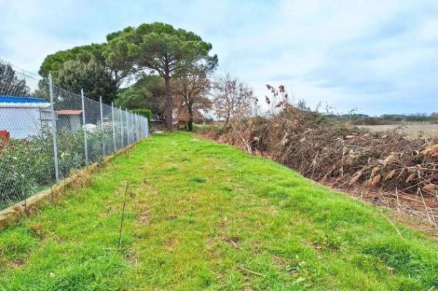 Immobile in asta di 1694 m² in vendita a Castiglione del Lago - Foto 4