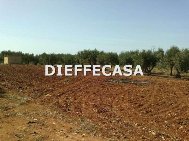V1363 - In vendita a Marsala terreno in periferia - Foto 3