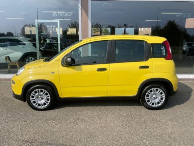 FIAT Panda 1.0 FireFly S&S Hybrid Pandina rif. 23992882 - Foto 2